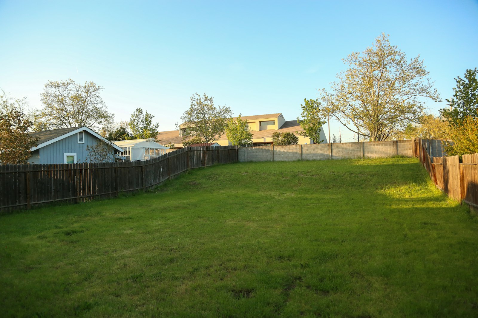 Grassy fenced backyard illustrating baseline and side clearance measurements